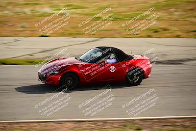 media/Feb-17-2024-Extreme Speed (Sat) [[f2f02d613c]]/Green Group/Session 3 (Turn 4)/